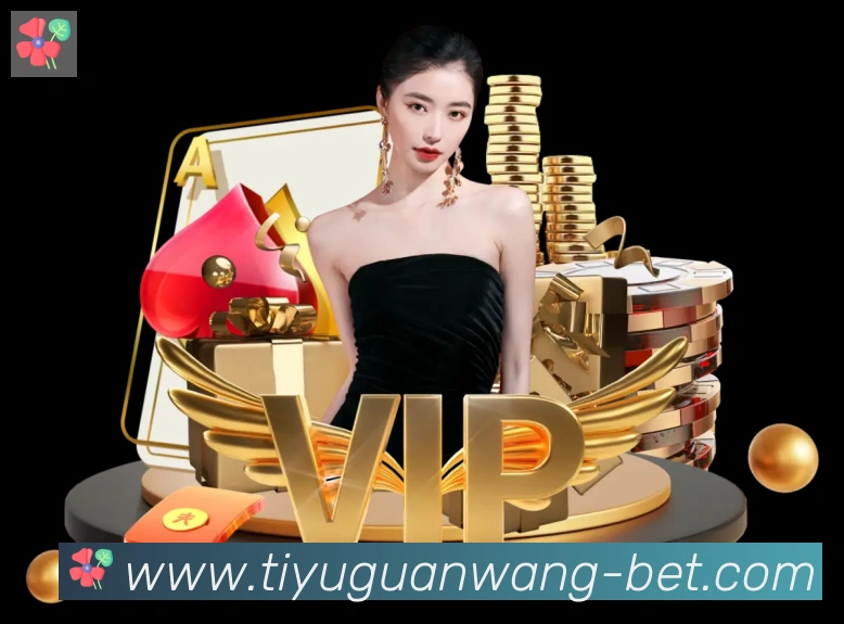 NG体育官网荣誉